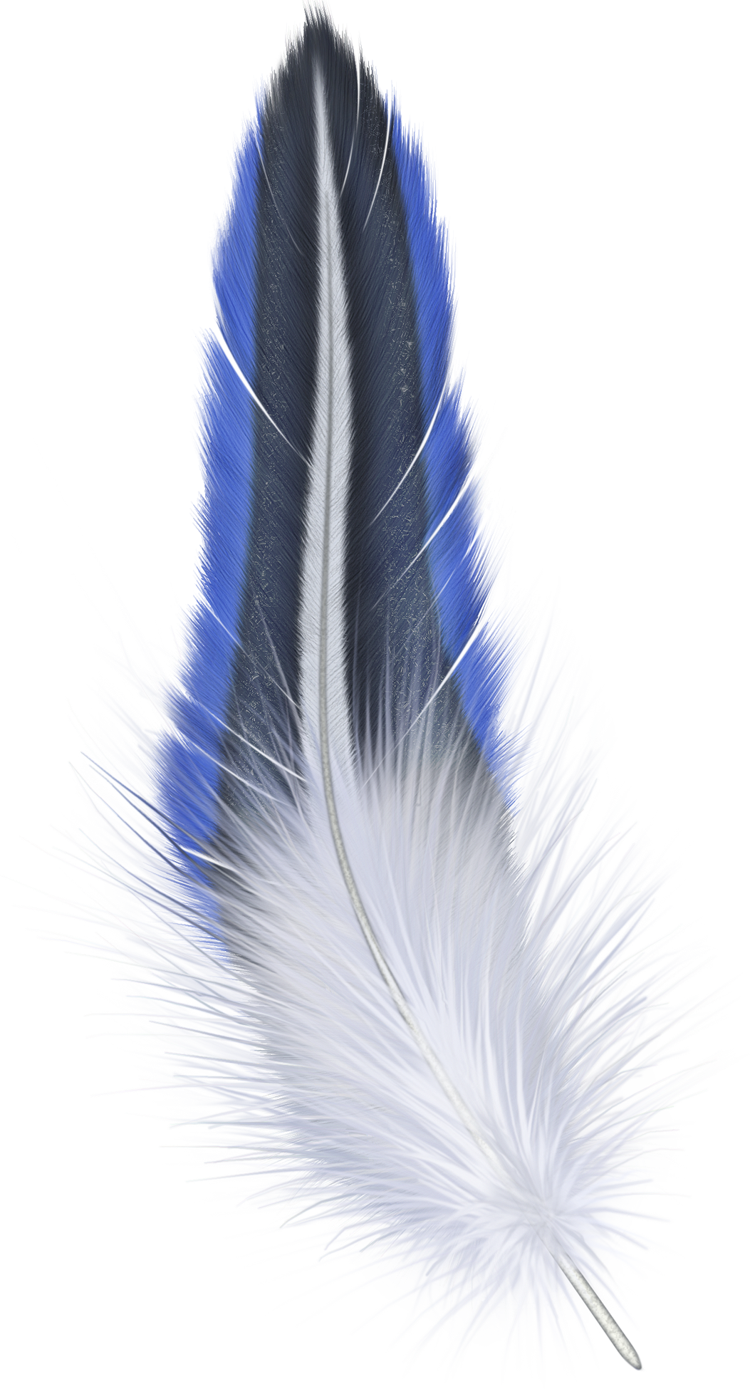 Detail Feather Png Transparent Nomer 48