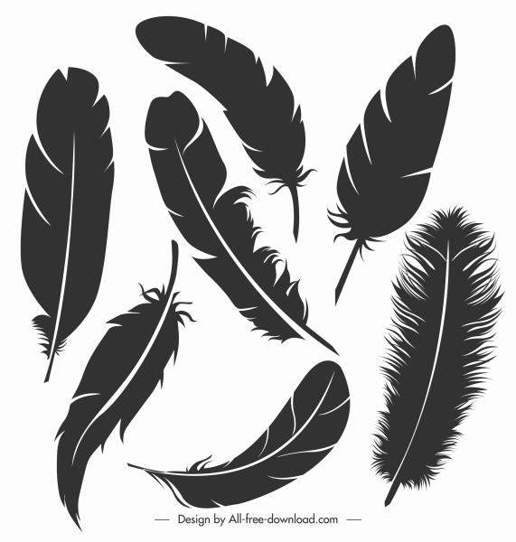 Detail Feather Silhouette Vector Free Nomer 13