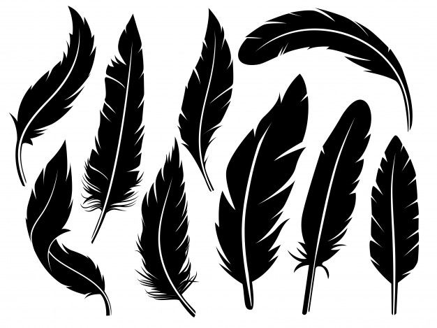 Detail Feather Silhouette Vector Free Nomer 20