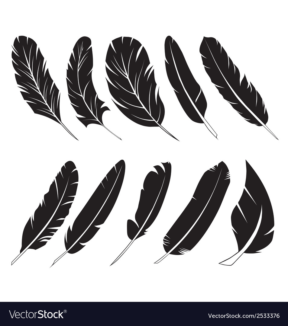 Detail Feather Silhouette Vector Free Nomer 3