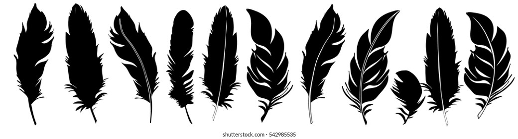 Detail Feather Silhouette Vector Free Nomer 23