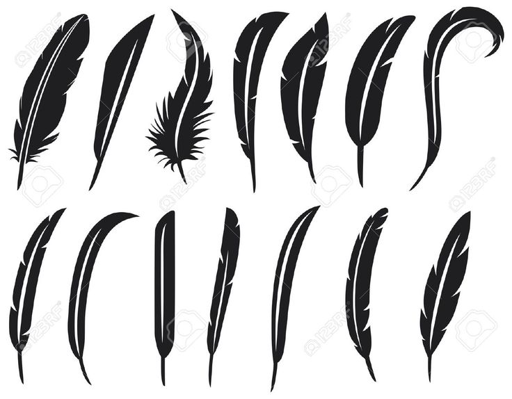 Detail Feather Silhouette Vector Free Nomer 25