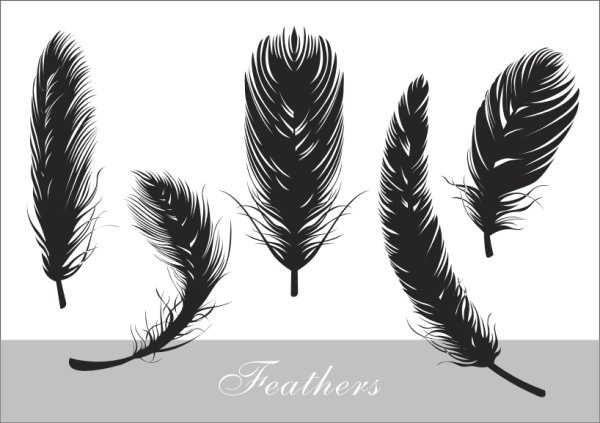 Detail Feather Silhouette Vector Free Nomer 4