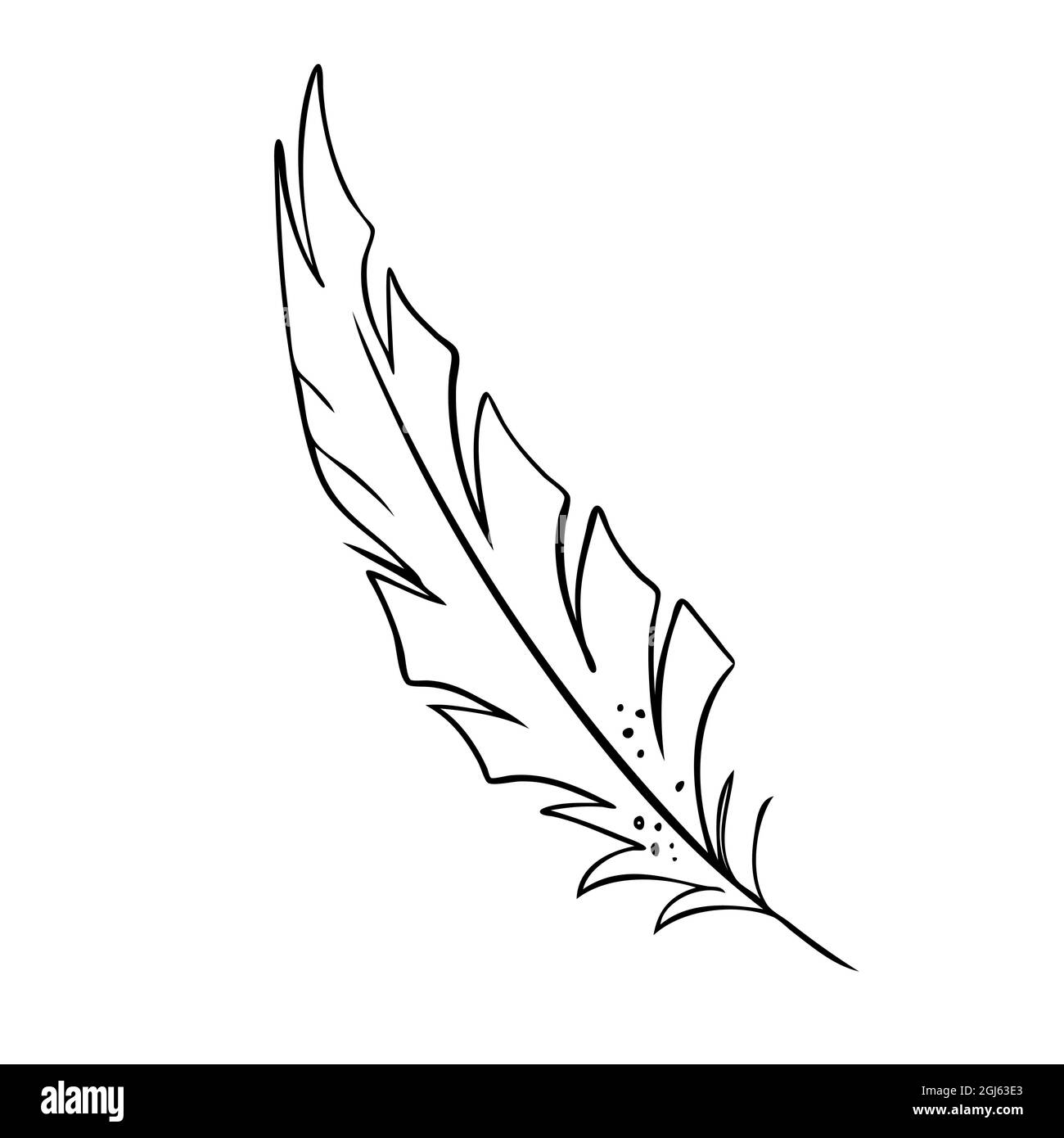 Detail Feather Silhouette Vector Free Nomer 36