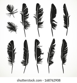 Detail Feather Silhouette Vector Free Nomer 41