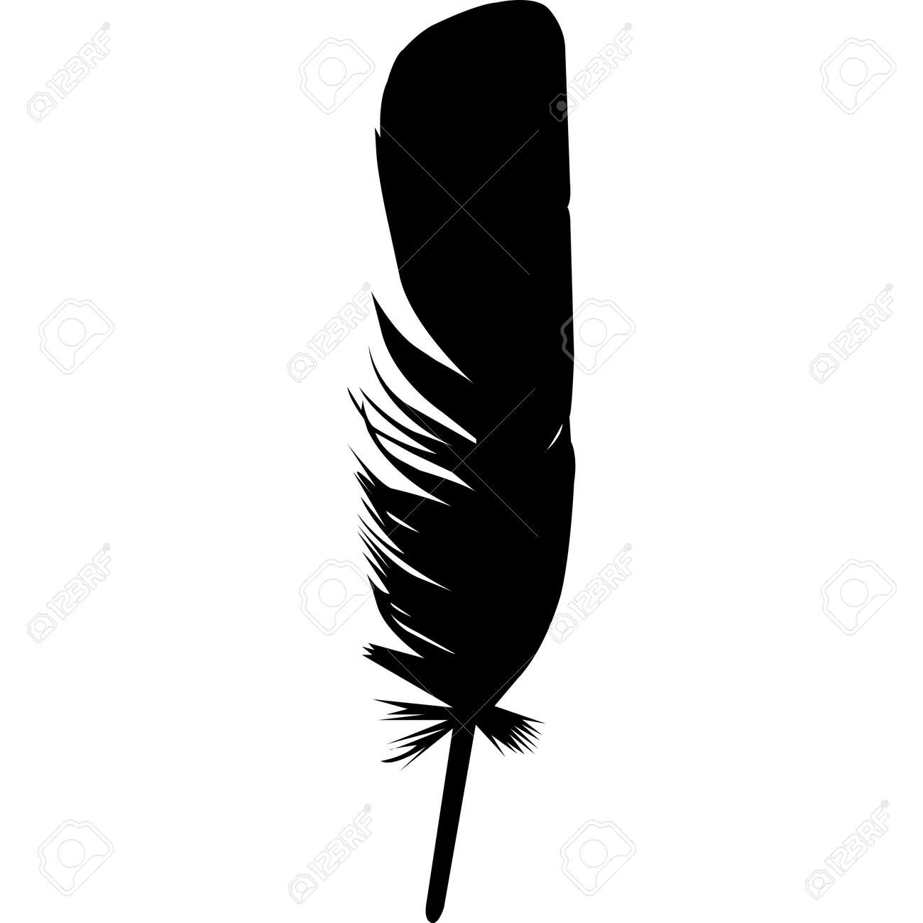 Detail Feather Silhouette Vector Free Nomer 42