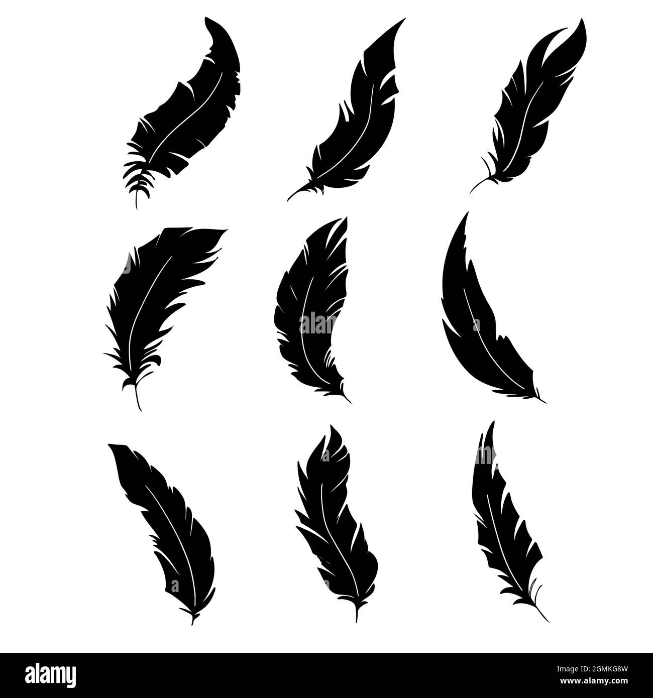 Detail Feather Silhouette Vector Free Nomer 46