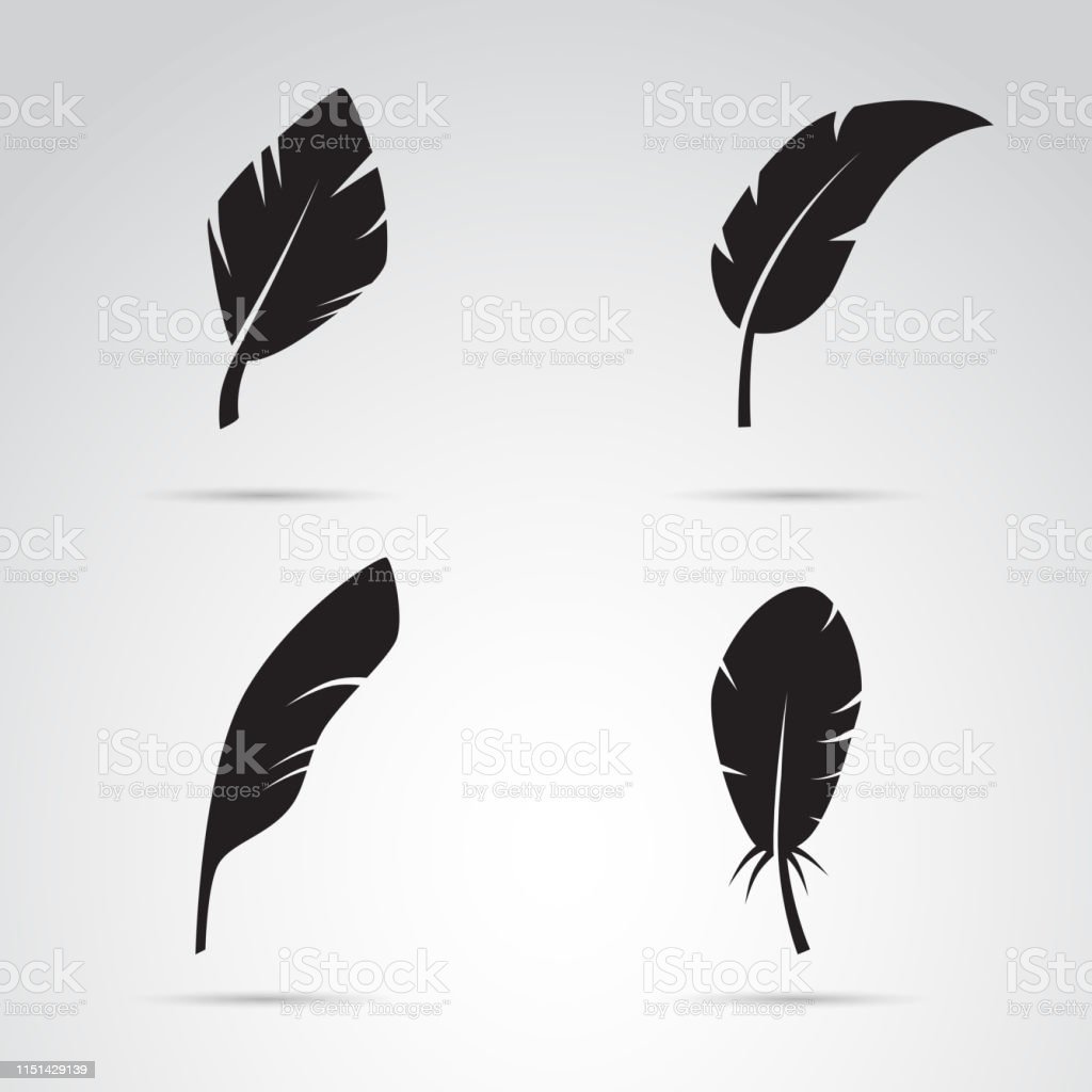 Detail Feather Silhouette Vector Free Nomer 53