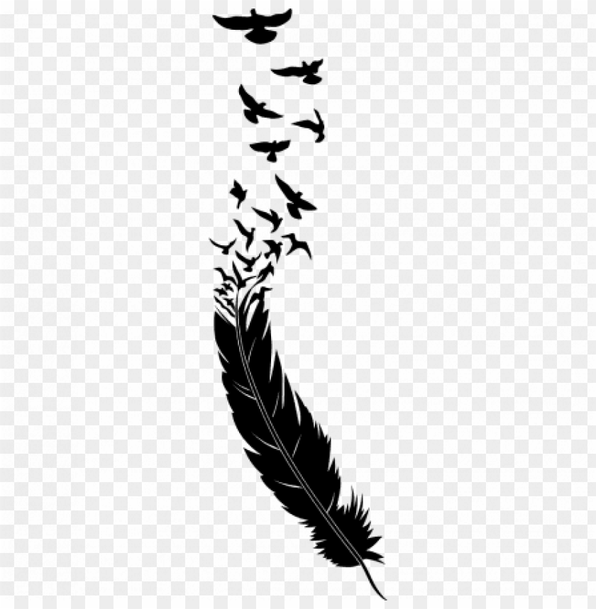 Feather Tattoo Png - KibrisPDR