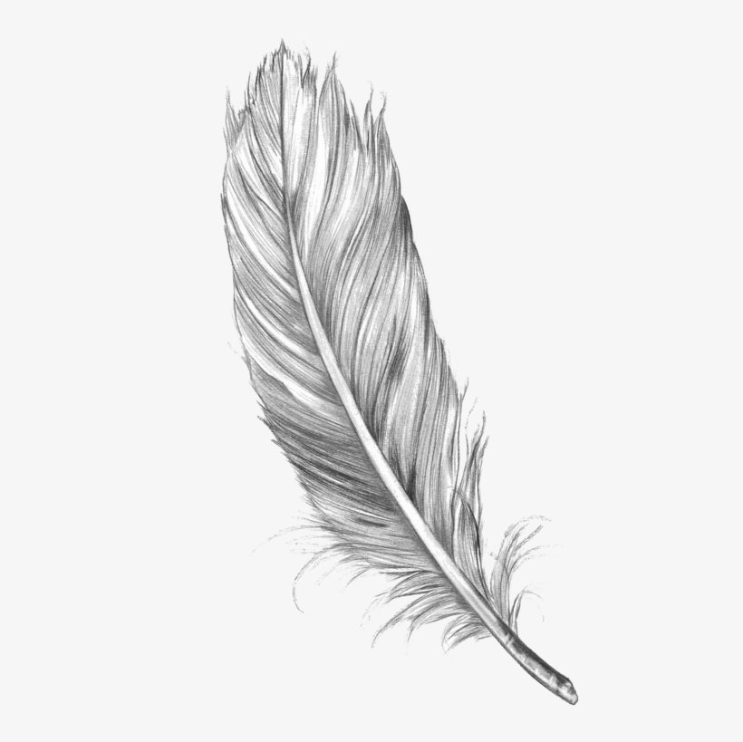 Detail Feather Tattoo Png Nomer 2