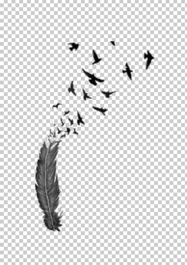 Detail Feather Tattoo Png Nomer 17