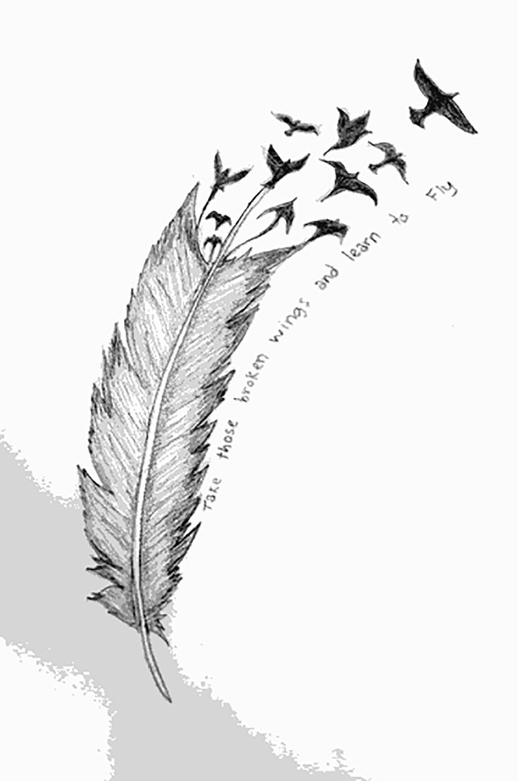 Detail Feather Tattoo Png Nomer 21