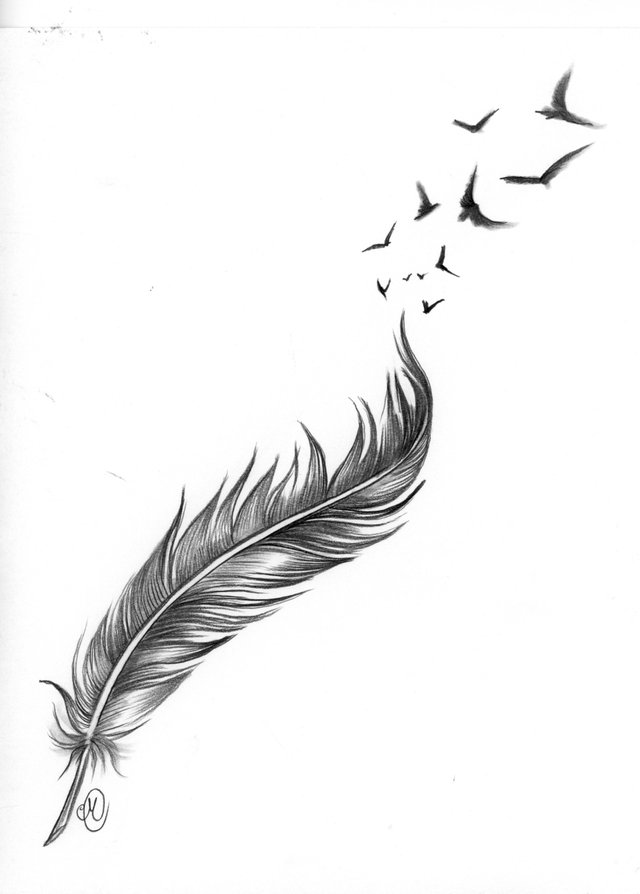 Detail Feather Tattoo Png Nomer 23