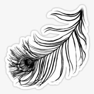 Detail Feather Tattoo Png Nomer 45
