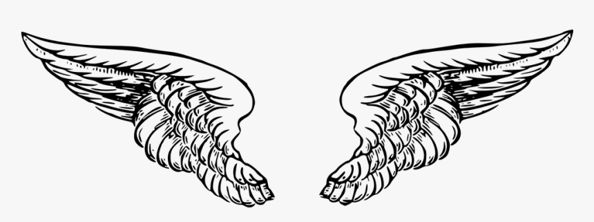 Detail Feather Tattoo Png Nomer 52