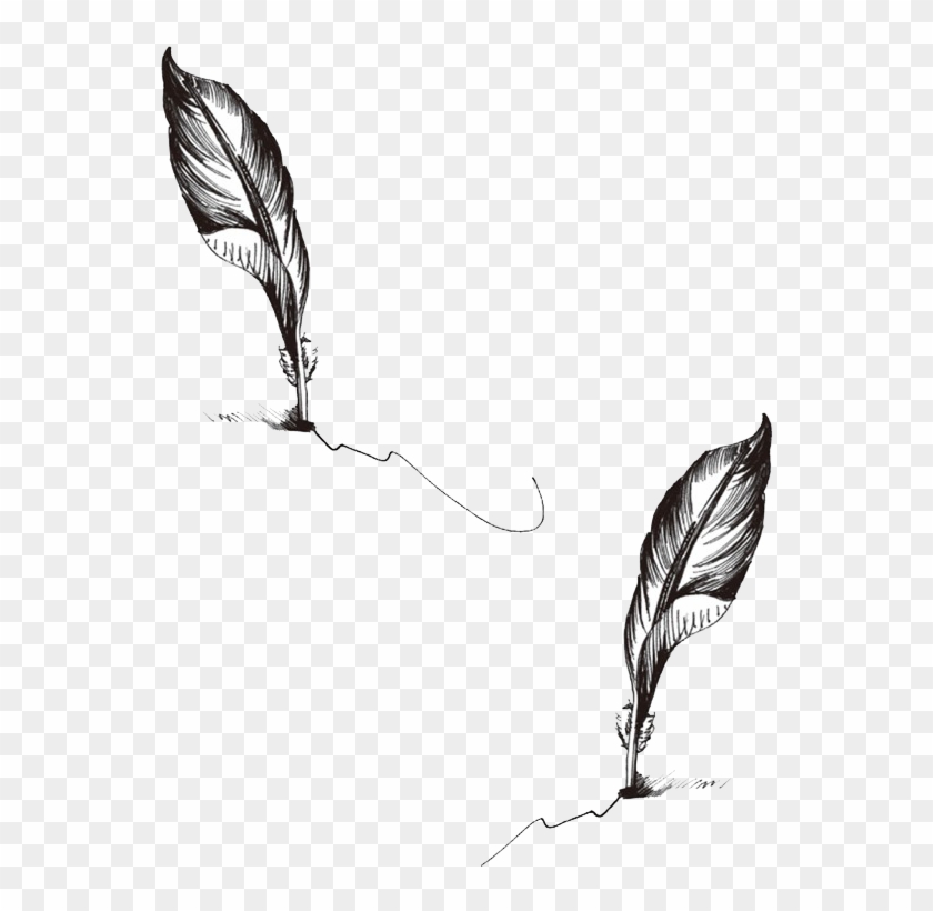 Detail Feather Tattoo Png Nomer 7