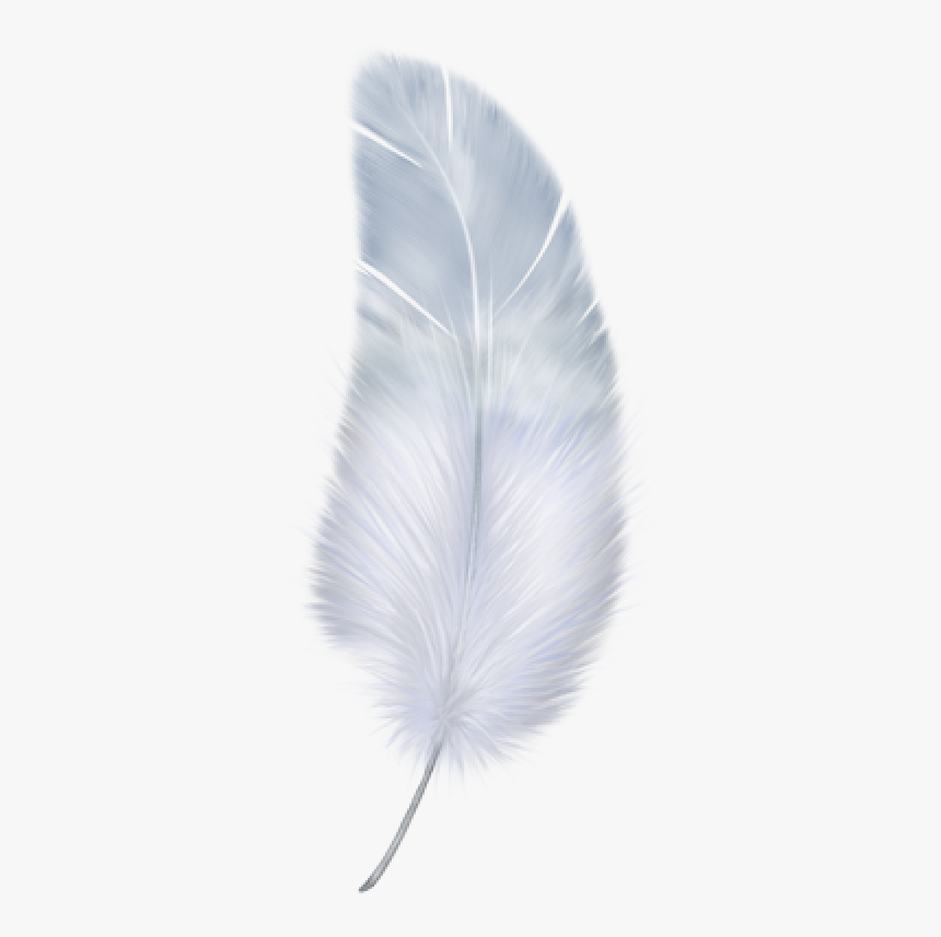 Feather Transparent - KibrisPDR