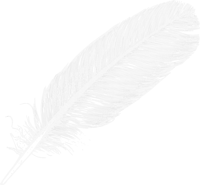Detail Feather Transparent Nomer 9