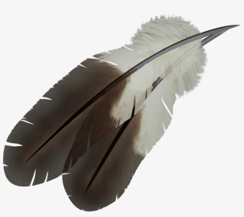 Detail Feather Transparent Nomer 15