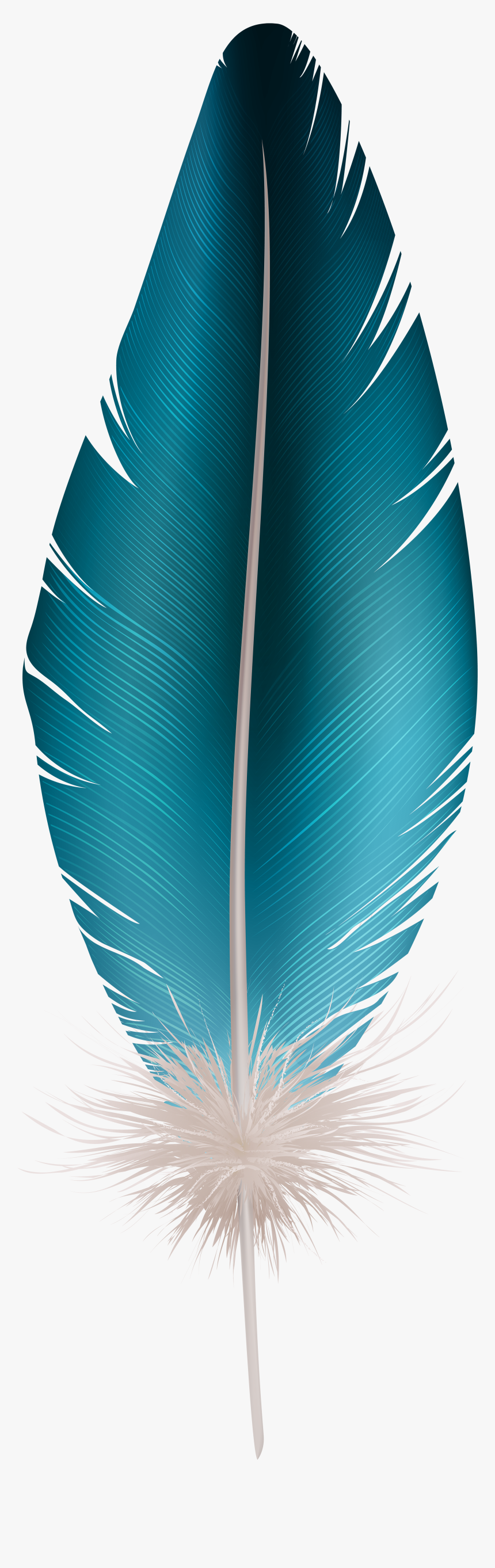 Detail Feather Transparent Nomer 41
