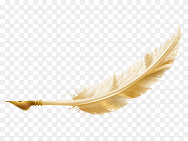 Detail Feather Transparent Nomer 42
