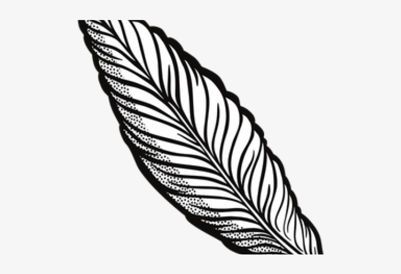 Detail Feather Transparent Nomer 45