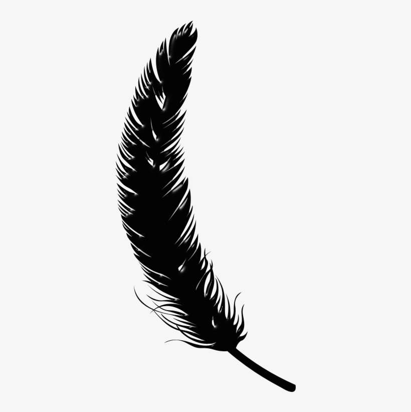 Detail Feather Transparent Nomer 47