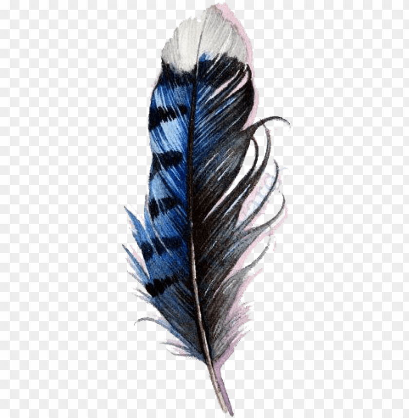 Detail Feather Transparent Background Nomer 17