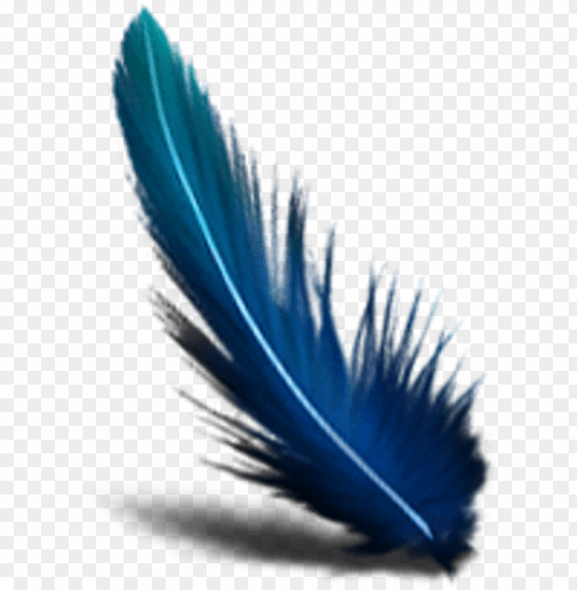 Detail Feather Transparent Background Nomer 18