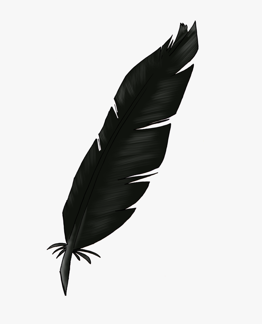 Detail Feather Transparent Background Nomer 20