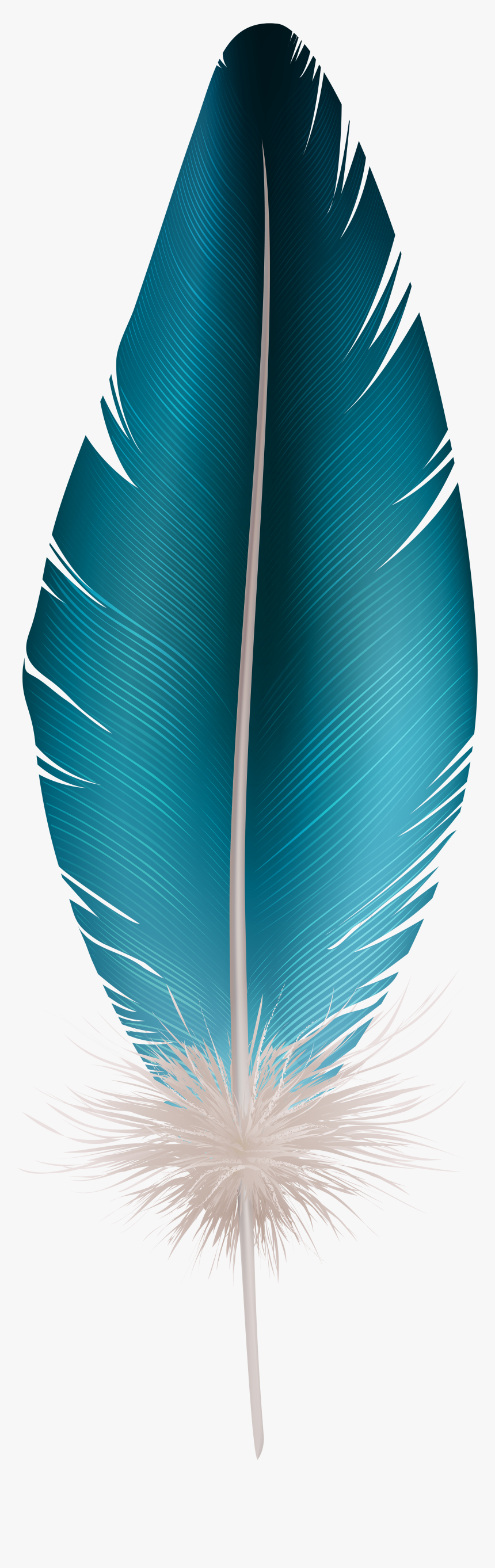 Detail Feather Transparent Background Nomer 46