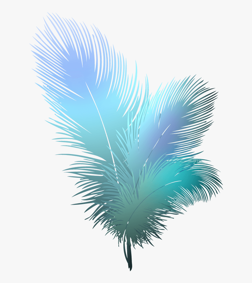 Detail Feather Transparent Background Nomer 47