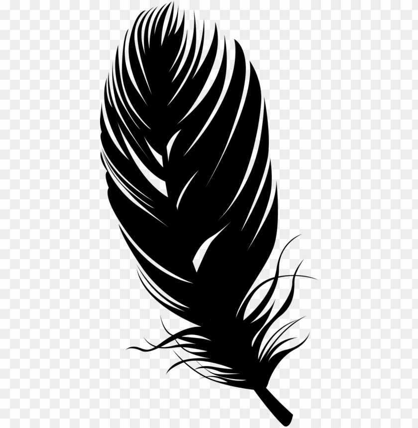 Detail Feather Vector Png Nomer 18