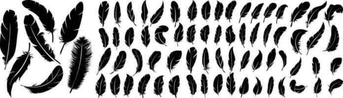 Detail Feather Vector Png Nomer 25