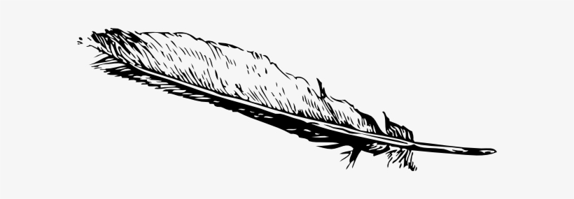 Detail Feather Vector Png Nomer 27