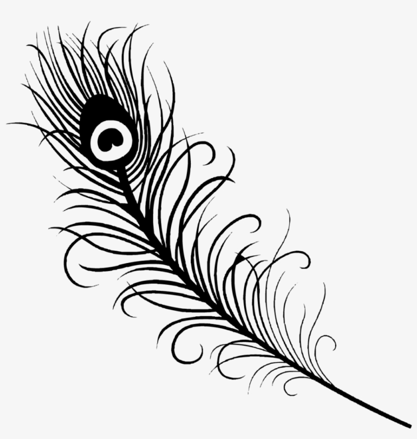 Detail Feather Vector Png Nomer 30