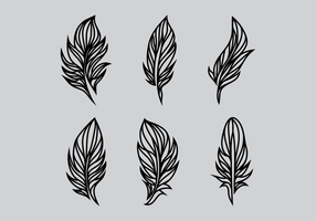 Detail Feather Vector Png Nomer 34