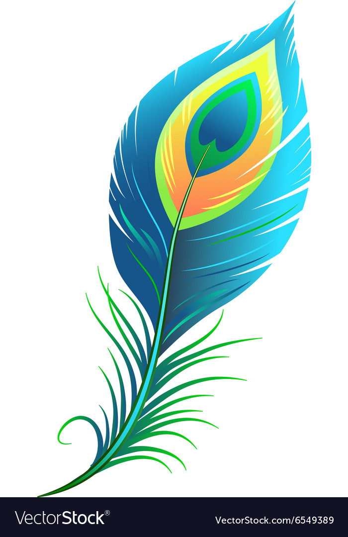 Detail Feather Vector Png Nomer 35
