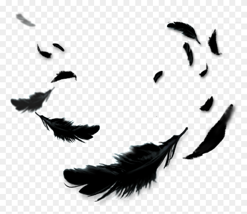 Detail Feather Vector Png Nomer 39