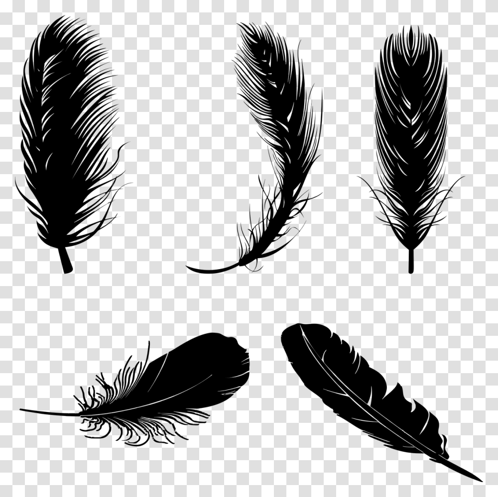 Detail Feather Vector Png Nomer 6