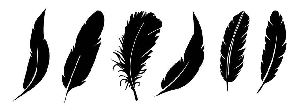 Detail Feather Vector Png Nomer 49
