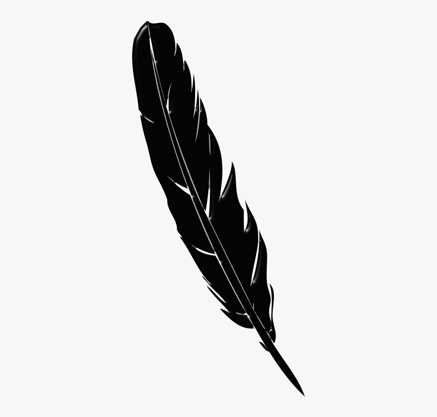 Detail Feather Vector Png Nomer 50