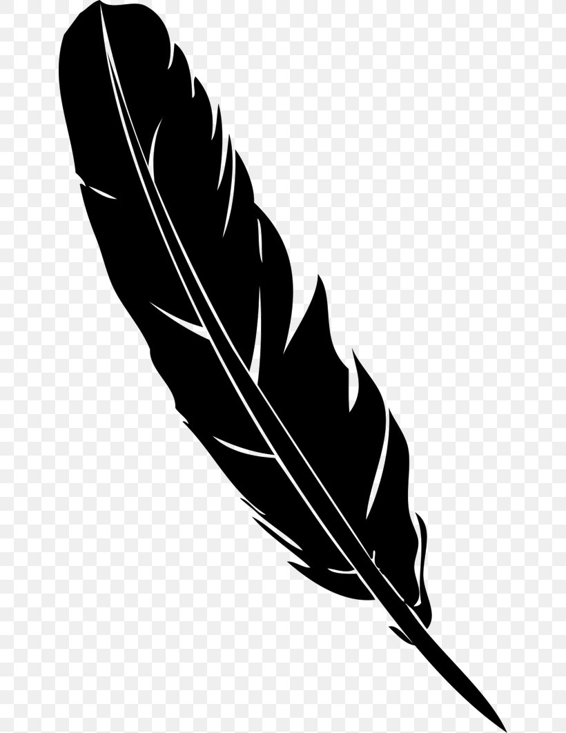 Detail Feather Vector Png Nomer 9