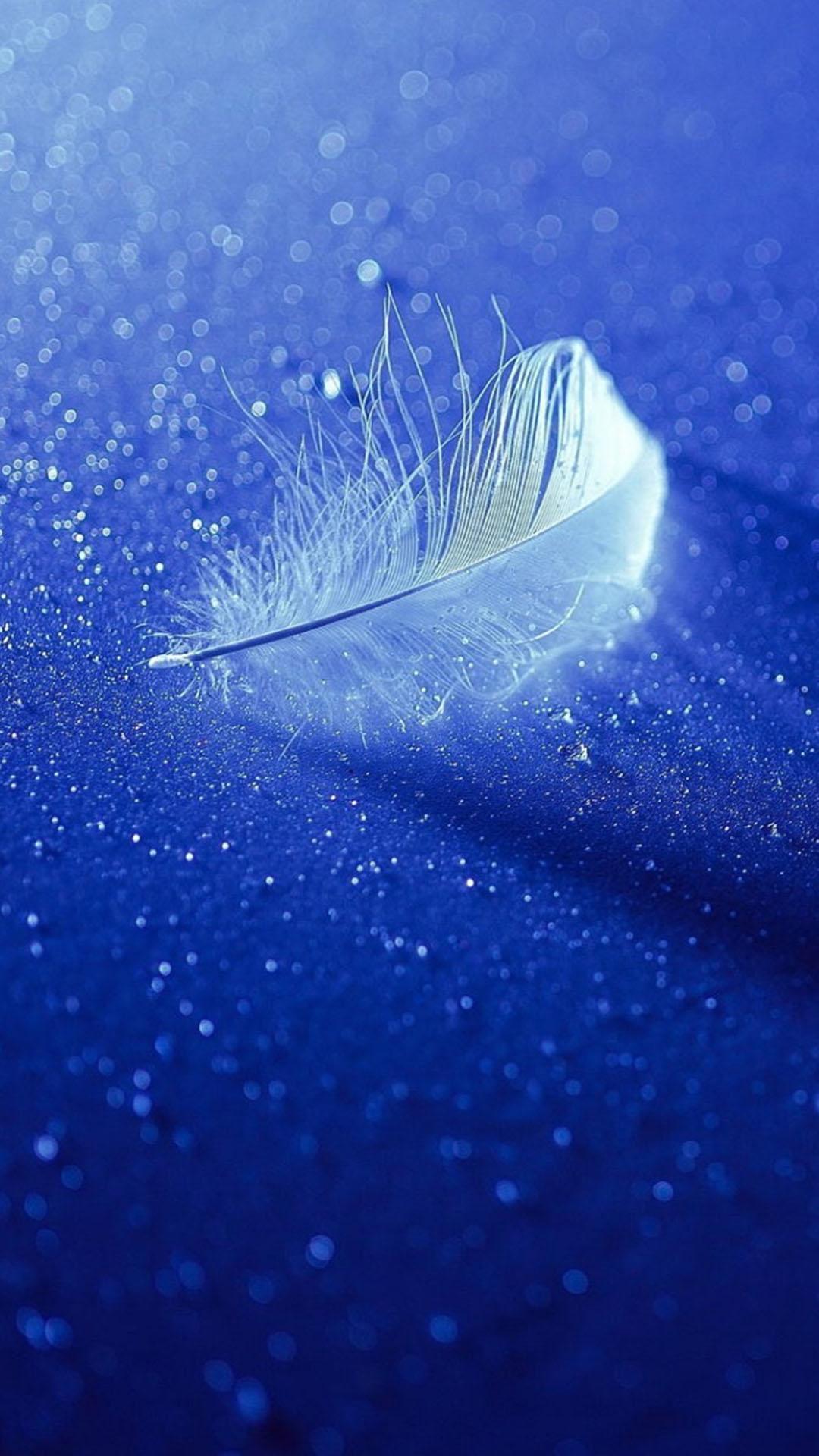 Detail Feather Wallpaper Hd Nomer 14