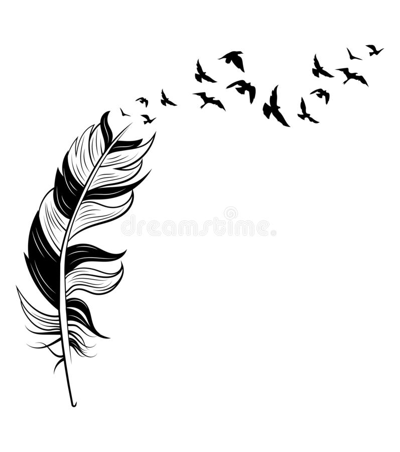 Detail Feather With Birds Clipart Nomer 12