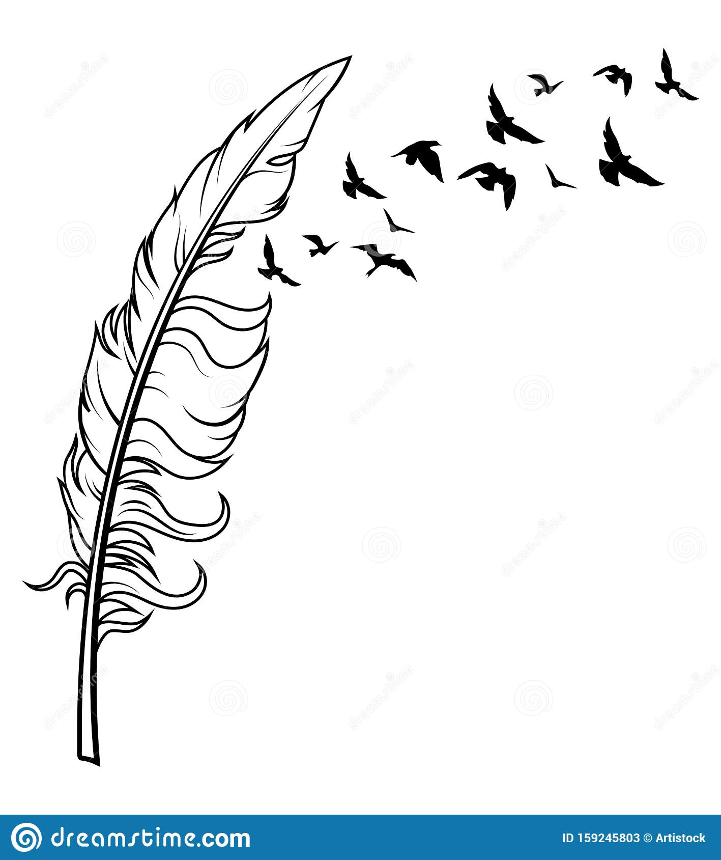 Detail Feather With Birds Clipart Nomer 14