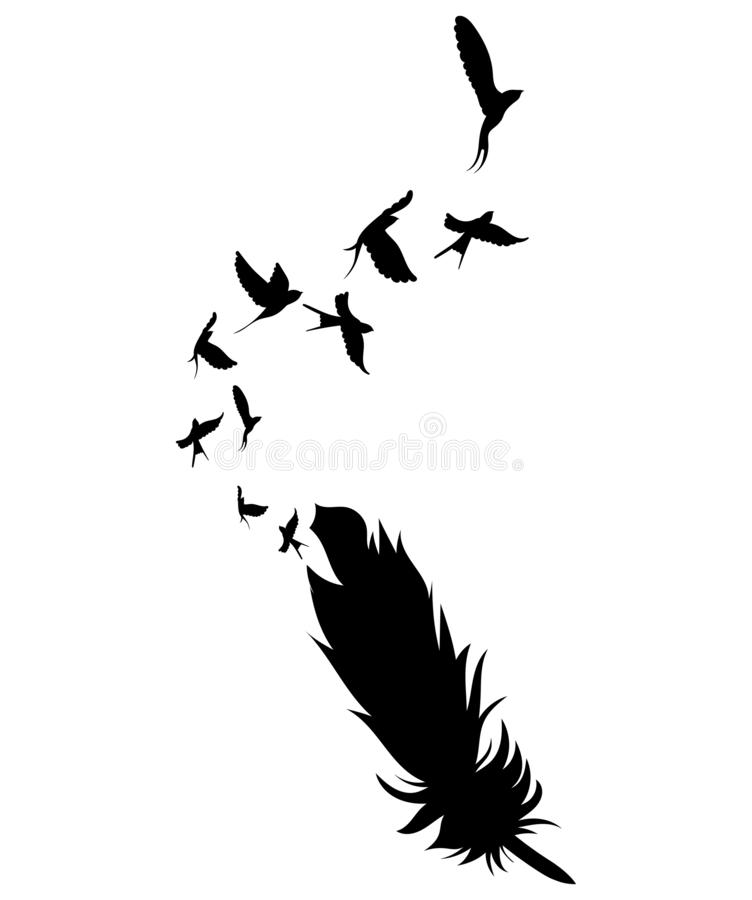 Detail Feather With Birds Clipart Nomer 17