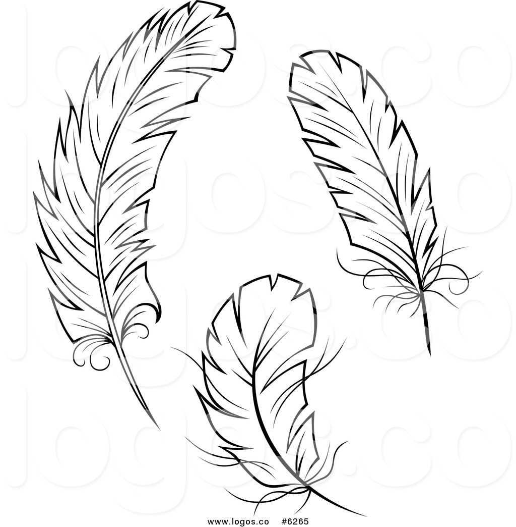 Detail Feather With Birds Clipart Nomer 33