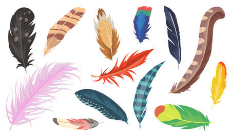 Download Feather With Birds Clipart Nomer 38