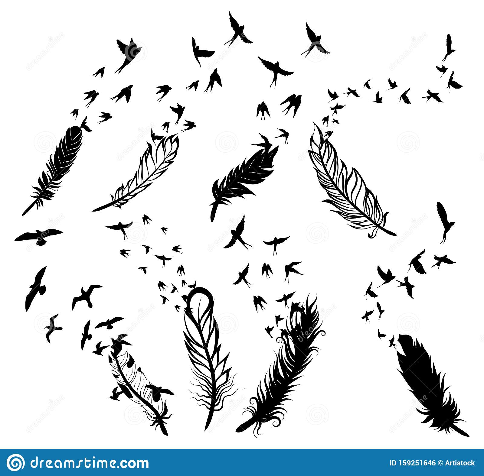 Detail Feather With Birds Clipart Nomer 8